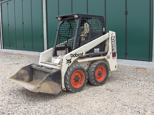 bobcat